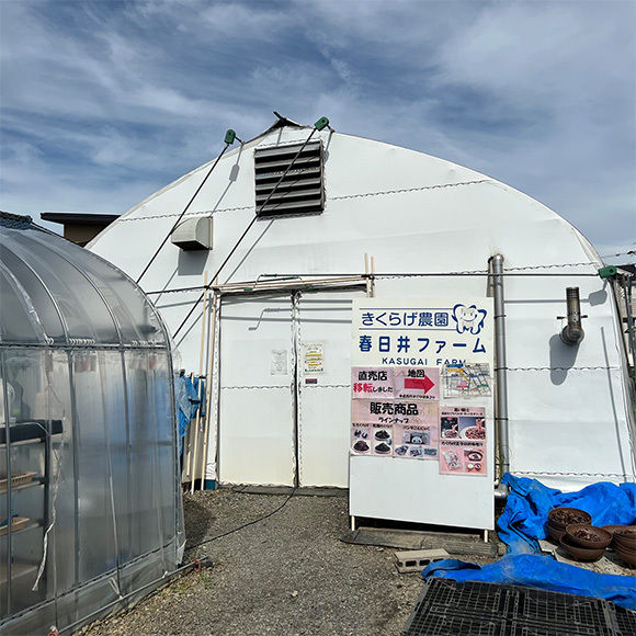 土からキッチン～ホンダロジコム　きくらげ春日井ファーム様に訪問