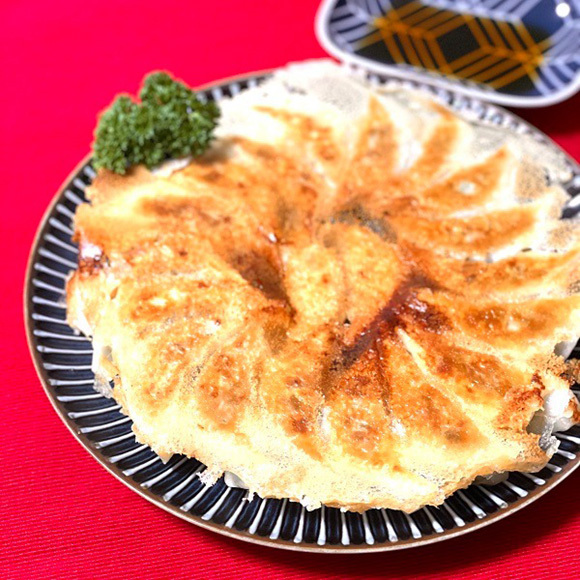 健腸レシピ『たっぷりパセリの羽つき餃子』