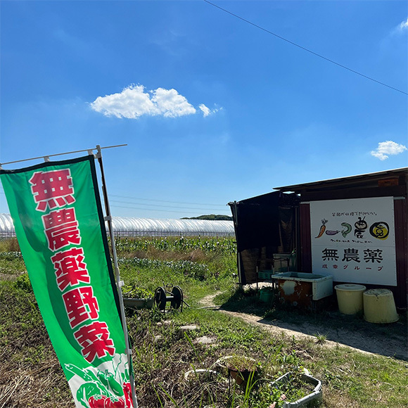 土からキッチン～東郷町　ノーマ農園さま