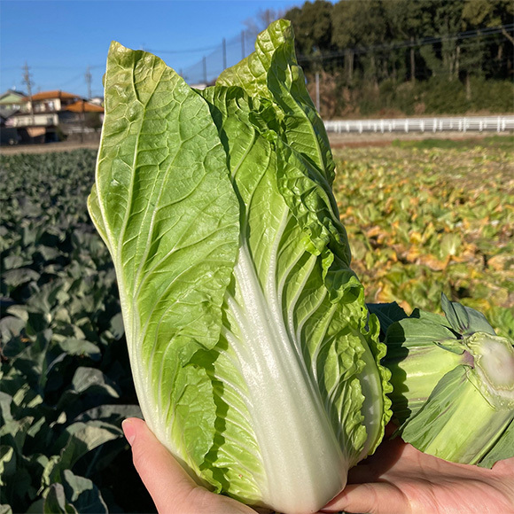 土からキッチン～農家訪問～年末のご挨拶➂