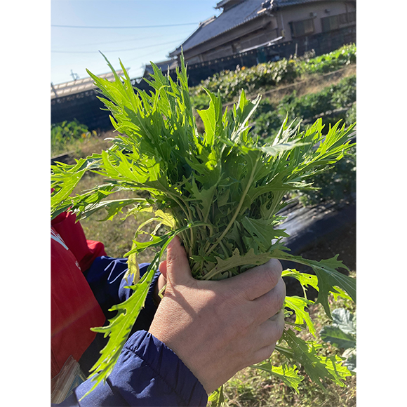 土からキッチン～松山さんの農園